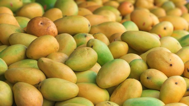 a-pile-of-mangoes.jpg