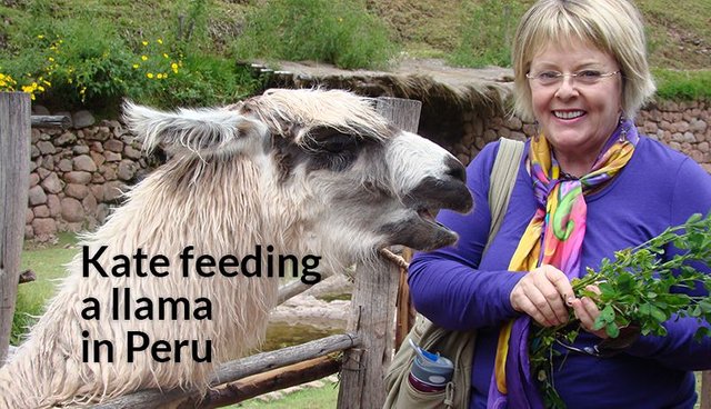 Feeding a llama in Peru 800x460.jpg