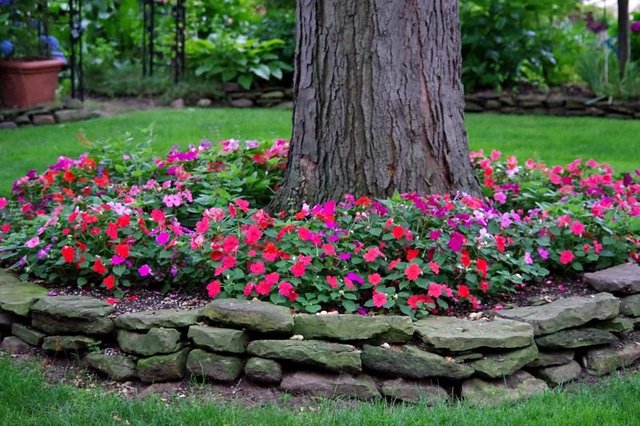 impatiens shade.jpg