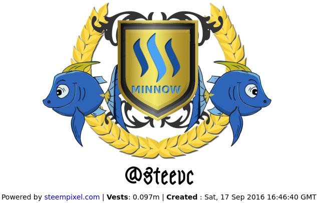 Minnow