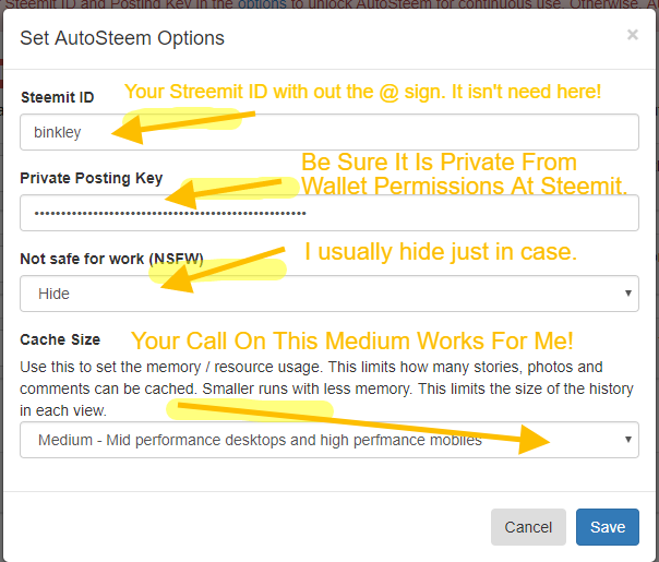 steem that autusteem-setup-options