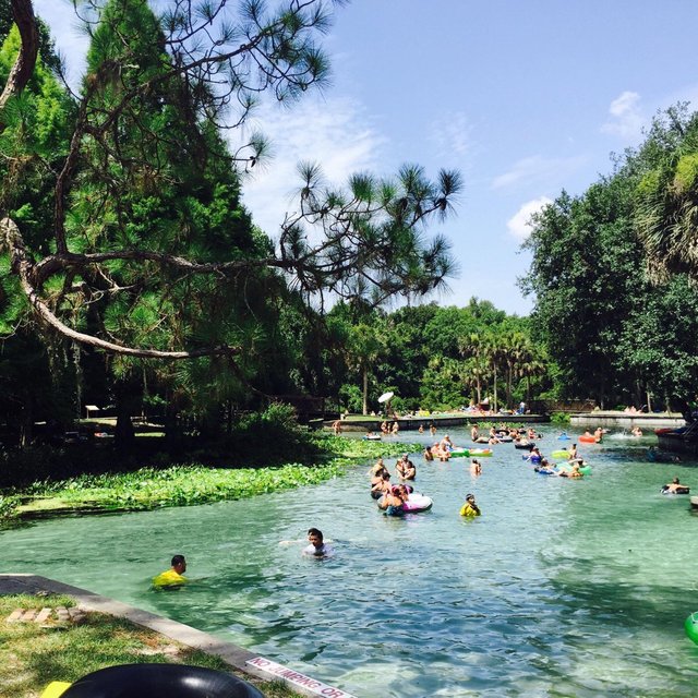 Rock Springs Kelly Park In Florida — Steemit