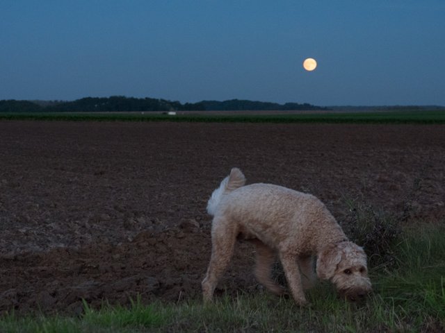 full-moon-oct-2016-202999.jpg