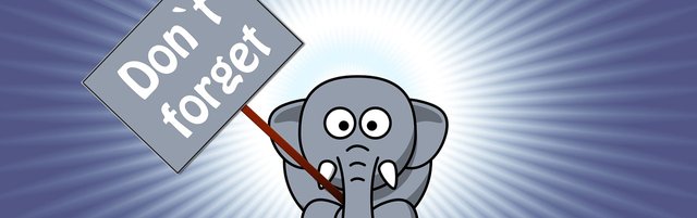 elephant-1090828_1280bcf67.jpg