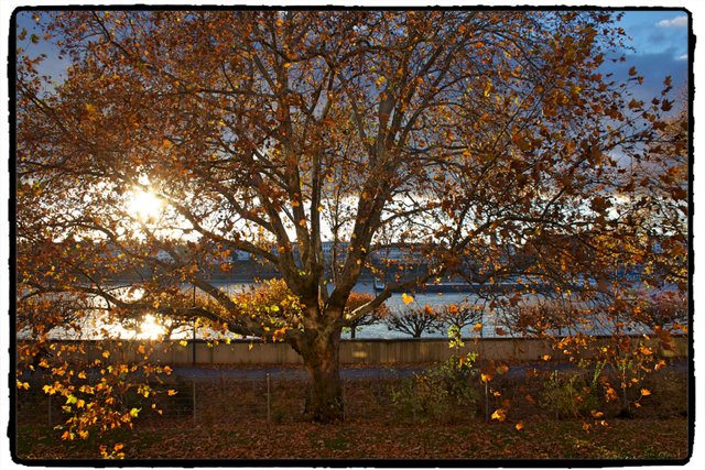 autumn_balcony25101.jpg