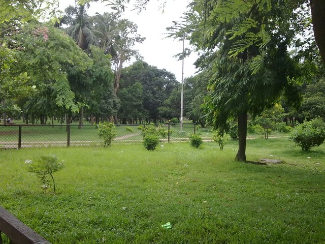 green yard