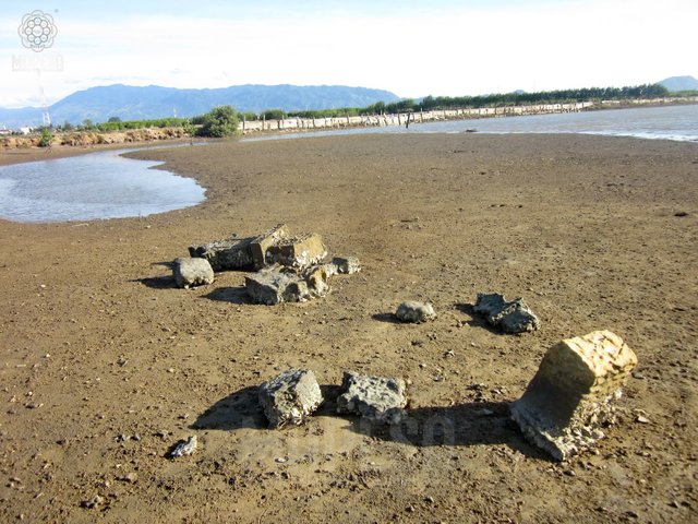 130791c.jpg