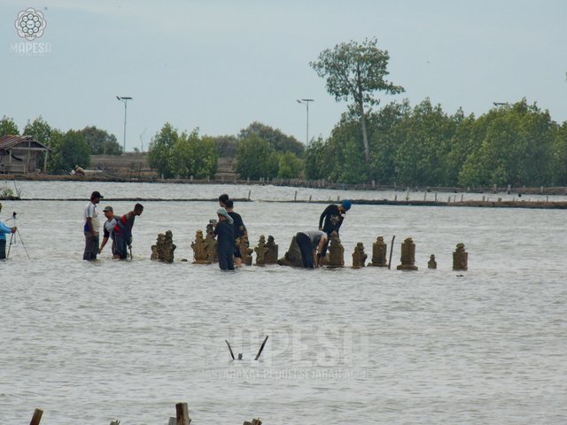2a3264.jpg