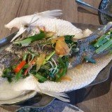 Thai Fish TN