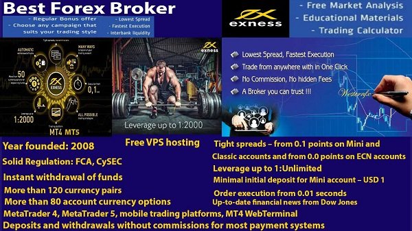 Exness Best Forex Broker Top Forex Brokers Exness Forex Broker - 