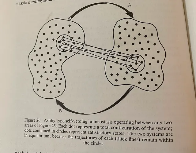 homeostasis illo