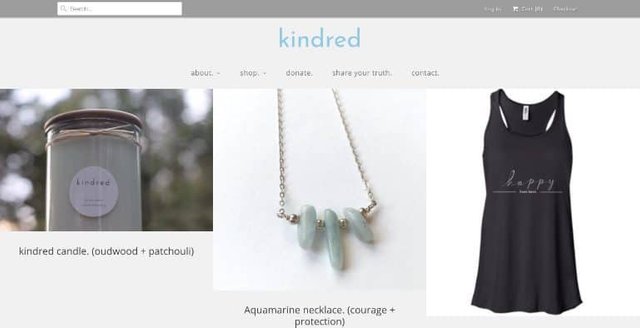 We Are Kindred donate for a cause