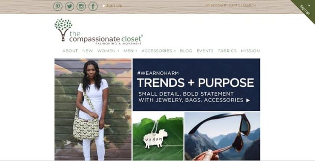 the compassionate closet donate for a cause