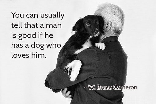 You can usually tell that a man is good if he has a dog who loves him. - W. Bruce Cameron