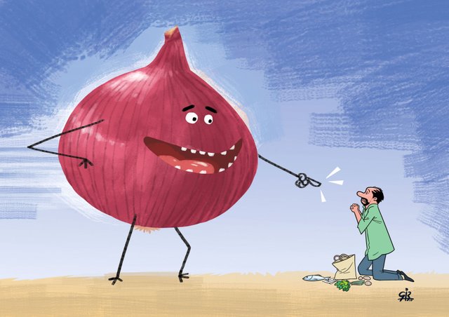 Onion issue