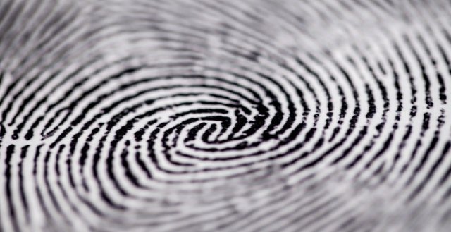 Fingerprint