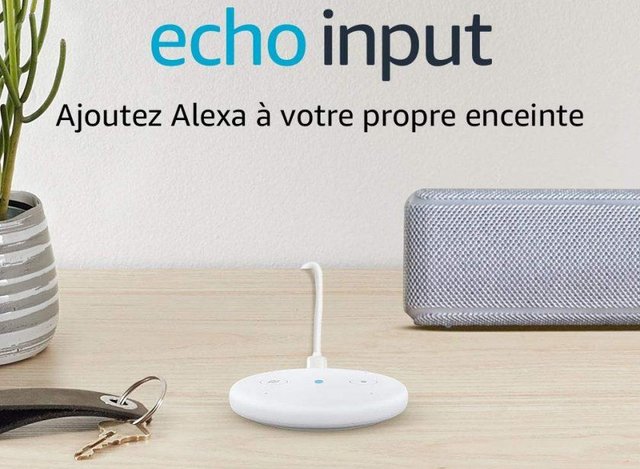 amazon echo input