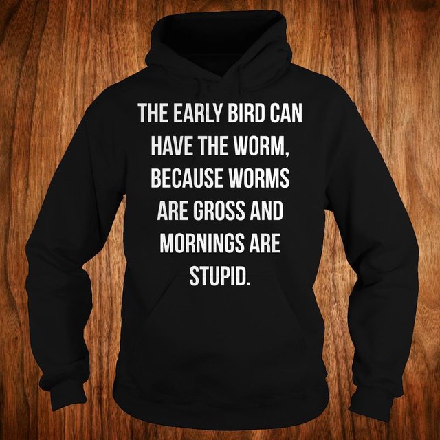 The Early bird can have the worm because worms are gross and mornings are stupid shirt Hoodie