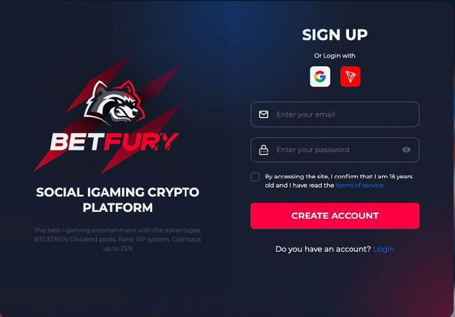 Betfury Platform