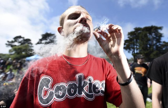 4B5F968F00000578-0-Kenny_Boynton_smokes_a_joint_in_San_Francisco_s_Golden_Gate_Park-a-114_1524272407613.jpg