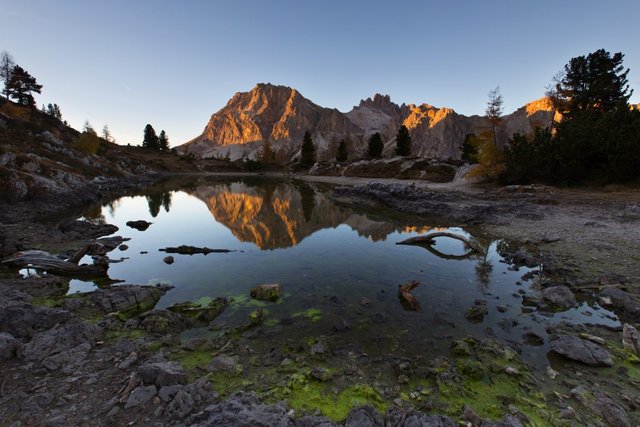 Lake overgrown by algae