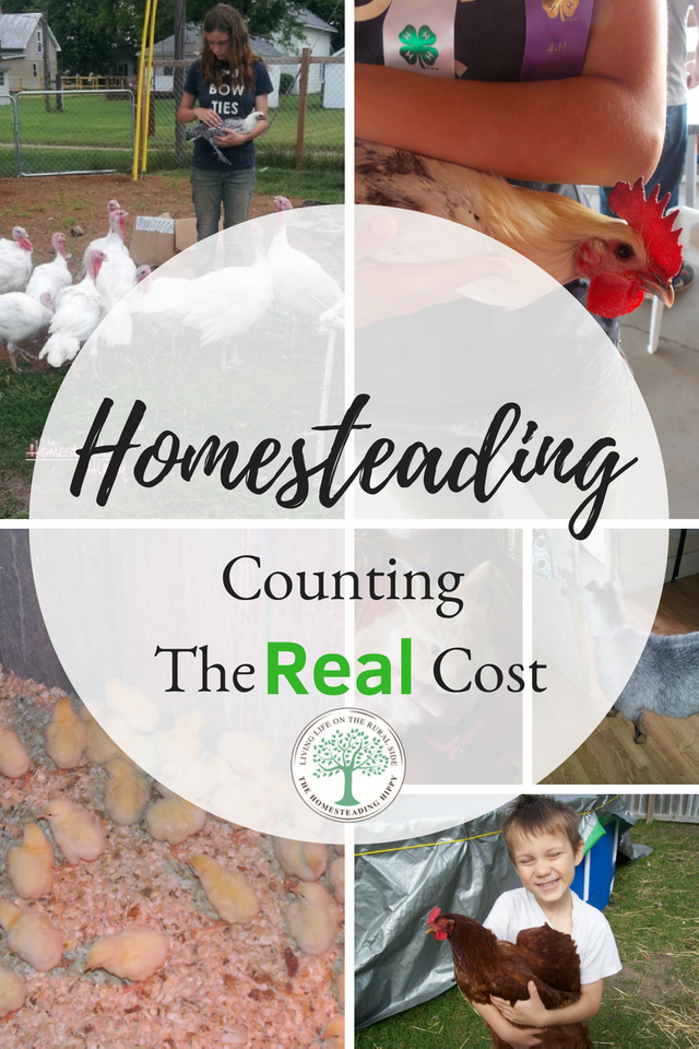 When most people think about homesteading, they have a very different reality from their vision. This story is all about how I didn't count the cost, and how I learned along the way what was REALLY important. 