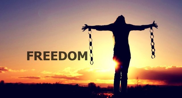 What do you need to innovate? Freedom! Yes, freedom. |