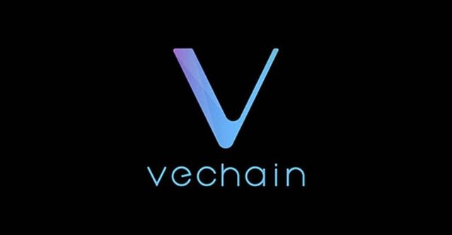 TheMerkle VeChain Blockchain