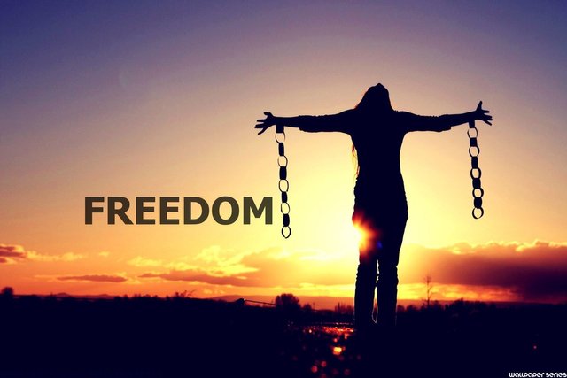 How to achieve total freedom - one small step at a time — Steemit