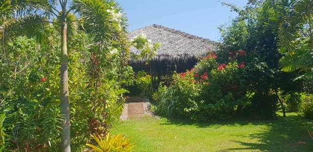 Enjoy an organic Thai lunch in a cute little hut