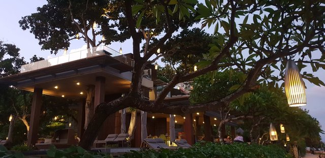 View of the Tree Bar at Maya resort at night