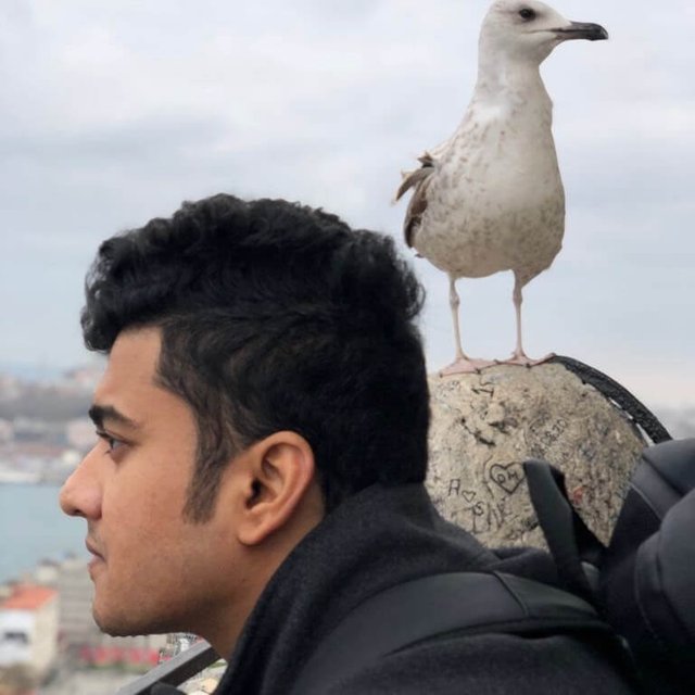 When you have the good fortune of getting photobombed by an albatross