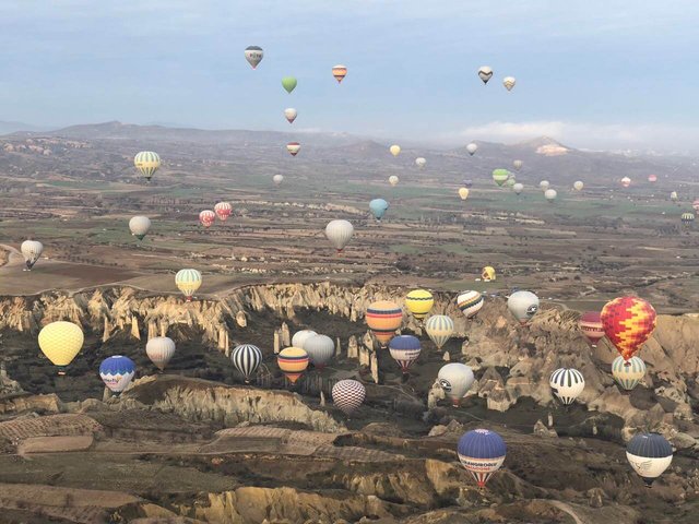 Royal Balloon pilots give you the best vantage point to see the balloons and natural terrain from a distance