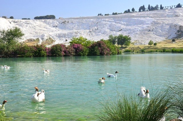 Pamukkale Natural Park and Mineral Lake is a lovely picnic spot for both locals and tourists