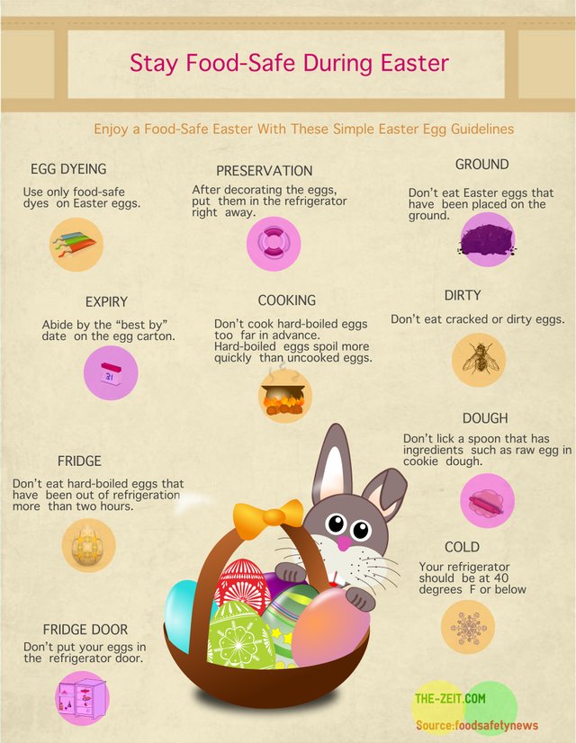 Food safety infographic