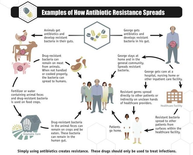 how_antibiotic_resistance_spreads