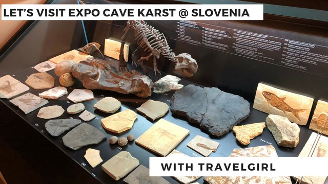 Expo Cave Karst @ Slovenia