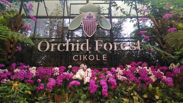 Cikole Orchid Park In Lembang Bandung Steemit