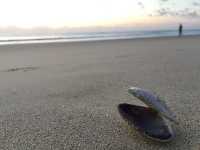 黄金海岸日出