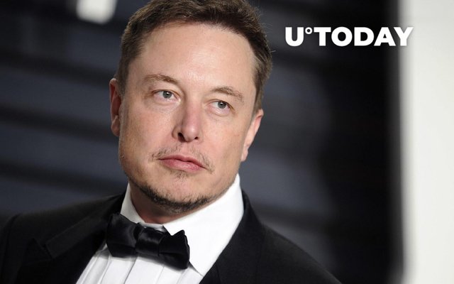 STEEM POSTS