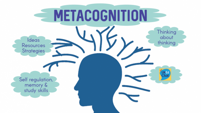 Articulating the distinction between cognition and metacognition