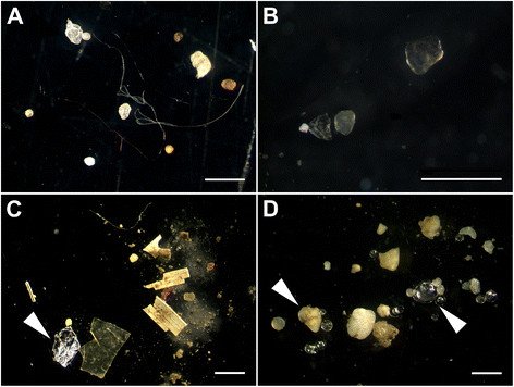 Microplastics