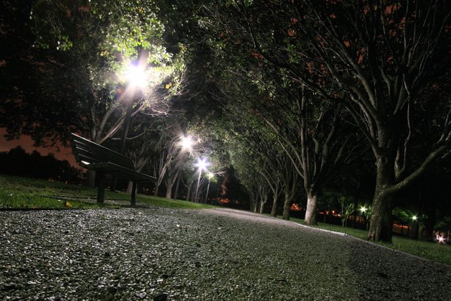 Park at Night