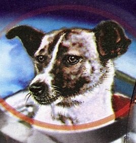 What Happened To Laika, The First Space Dog — A Sacrifice To