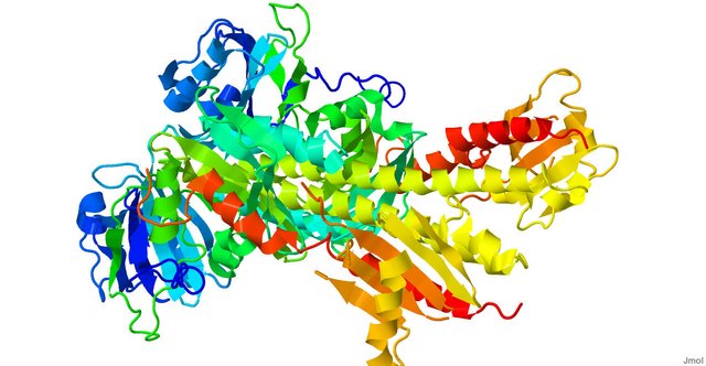 Phytochrome structure