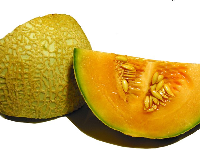 Melon