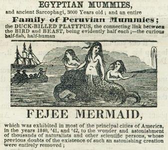 Feejee Mermaid Poster - Labeled For Reuse