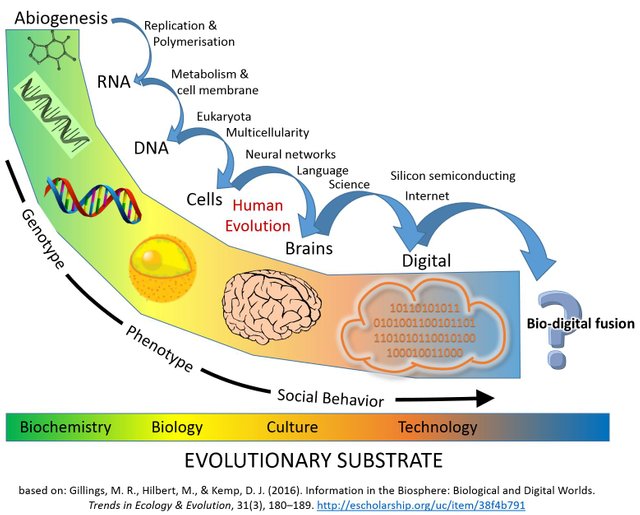 Major Evolutionary Transitions