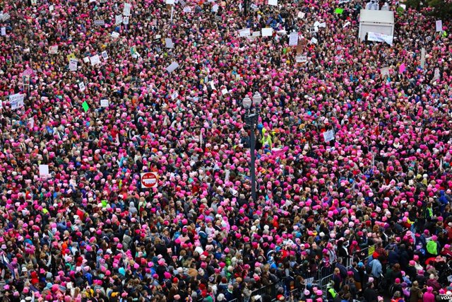 Women’s March, 21 January 2017, by Brian Allen, Voice of America, Public Domain, via Wikimedia Commons