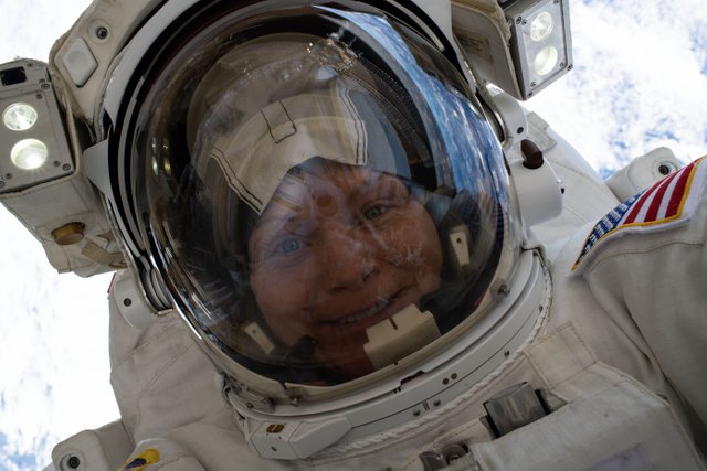 ISS-59 EVA-1 (p) Anne McClain takes a space-selfie.jpg